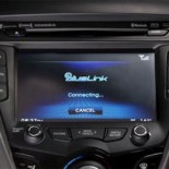 bluelink