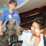 herodog