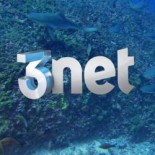 shark3nt