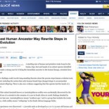 ynews