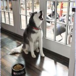 mishka