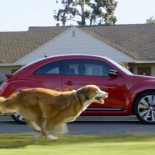 vw