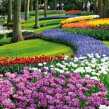 gardens