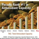 pecans
