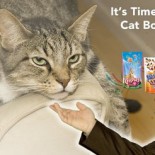 catbore
