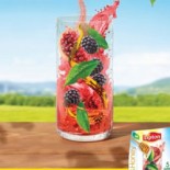 lipton