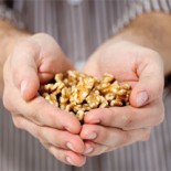 walnuts