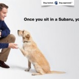 dogad
