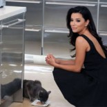 Eva Longoria