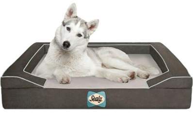 Sealy Technology Beds