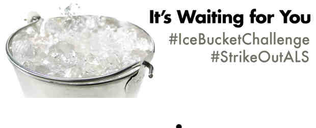 Ice Bucket