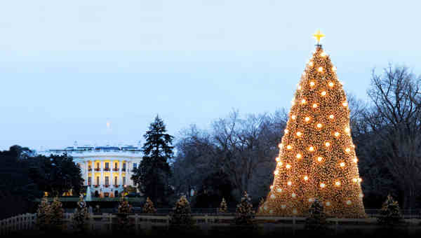 Christmas Tree Lighting Ceremony