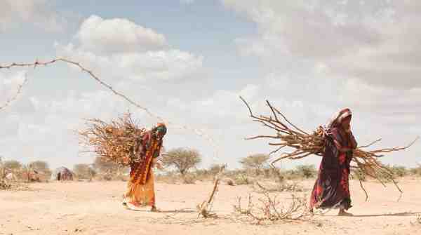 Climate change is a growing cause of displacement in Africa, where some areas have been devastated by drought. Photo: UNHCR/B. Bannon