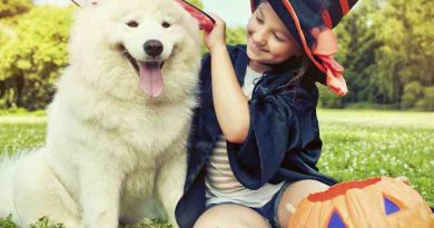 How to Protect Your Children, Property, and Pets on Halloween