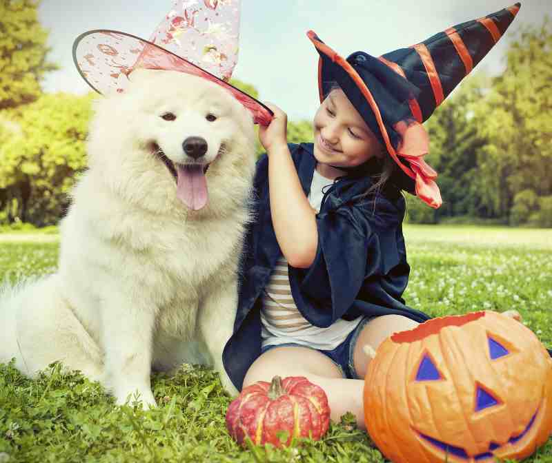 How to Protect Your Children, Property, and Pets on Halloween