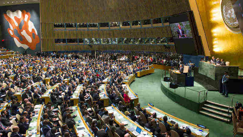 The UN General Assembly. UN Photo/Mark Garten (file)