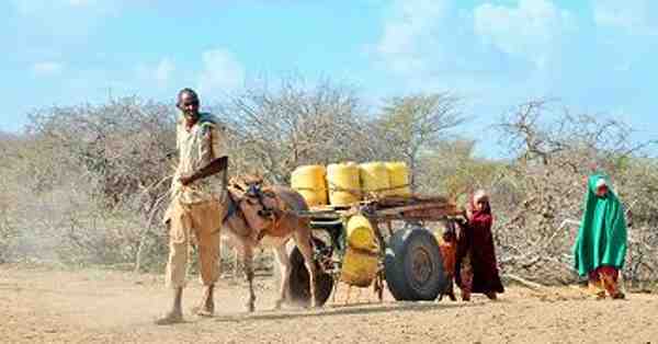 More Than 1 Million Children Affected by Drought in Kenya