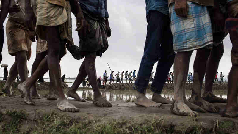 In September 2017, newly arrived Rohingya refugees from Myanmar walk through paddy fields and flooded land after they fled over the border into Cox’s Bazar district, Chittagong Division in Bangladesh. Photo: UNICEF/Brown