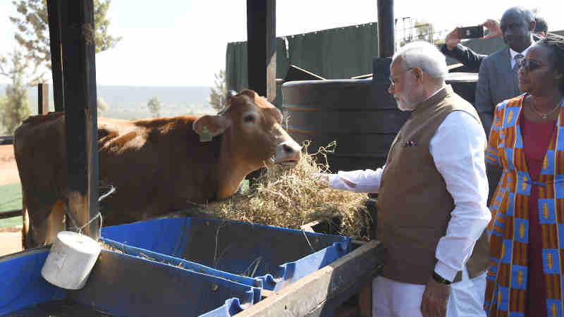 The Prime Minister, Shri Narendra Modi donates 200 cows under “Girinka” (one cow per poor family programme), at Rweru Model village, in Rwanda on July 24, 2018.