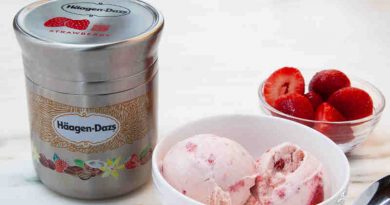 Nestle Haagen-Dazs Strawberry Reusable Container