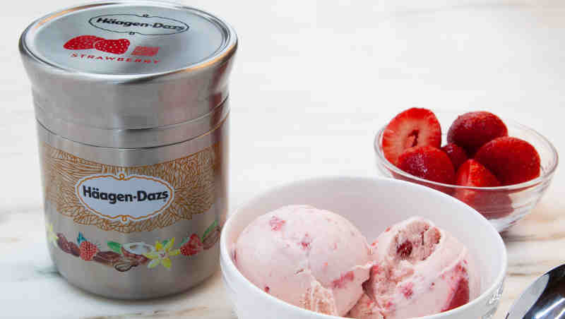 Nestle Haagen-Dazs Strawberry Reusable Container