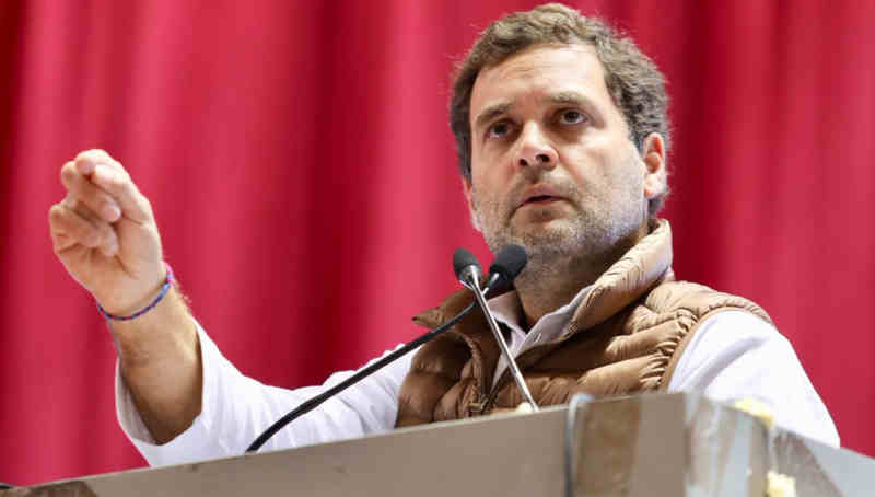 Rahul Gandhi. Photo: Congress (file photo)