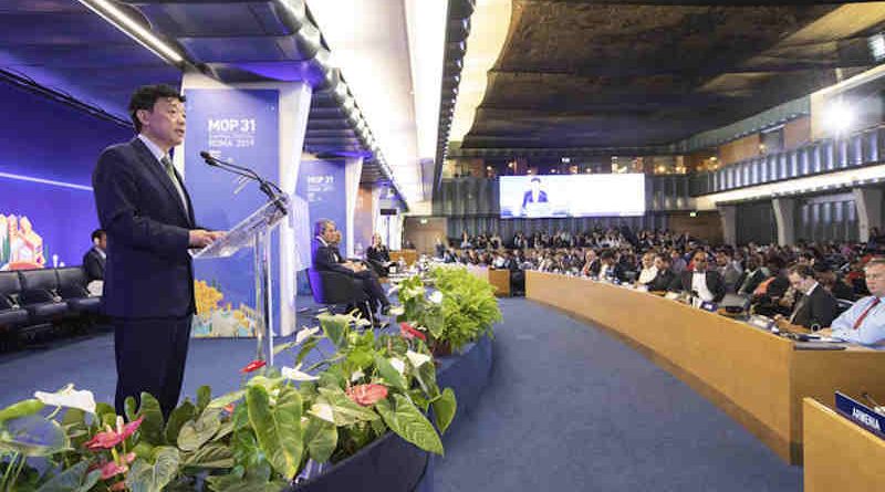 FAO Director-General Qu Dongyu addresses the High-Level Segment of the 31st Meeting of the Parties to the Montreal Protocol at FAO headquarters in Rome on November 7, 2019. Photo: FAO