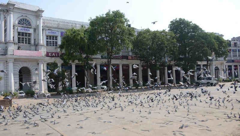 A scene in Delhi as people observed Janata Curfew announced by PM Narendra Modi on March 22, 2020 to combat Coronavirus. Photo: PIB