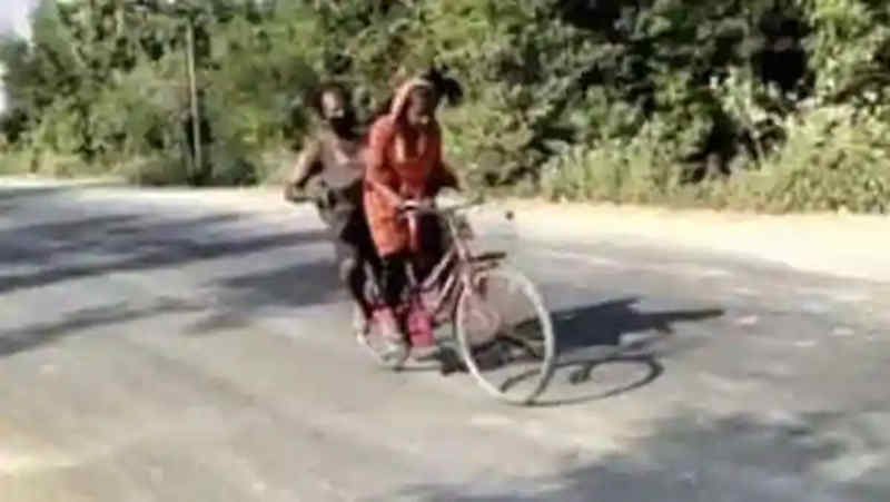 Indian girl Jyoti Kumari who carried her wounded father on a bicycle to reach their village during Covid lockdown. Photo: Web