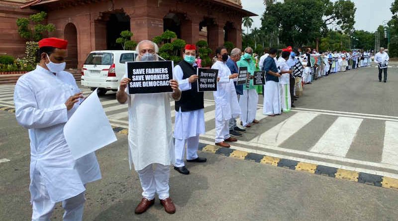 Members of Parliament (MPs) in India protesting in the Parliament complex on September 23, 2020 against the new farm laws announced by the government. Photo: Congress (file photo)