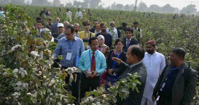 IAEA support, including training, workshops and fellowships as well as practical lectures such as this one in Pakistan, have contributed to building the national capacity in cotton breeding techniques. (Photo: L. Jankuloski/Joint FAO/IAEA)