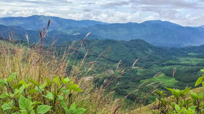 Forest restoration: a path to recovery and well-being. Photo: UN