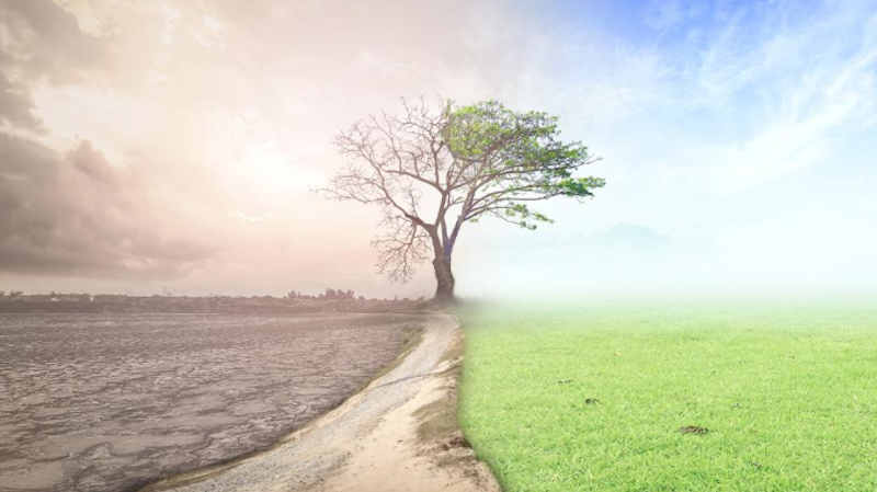 European Parliament declares a climate emergency and MEPs want immediate and ambitious action to limit effects of climate change. Photo: European Parliament  