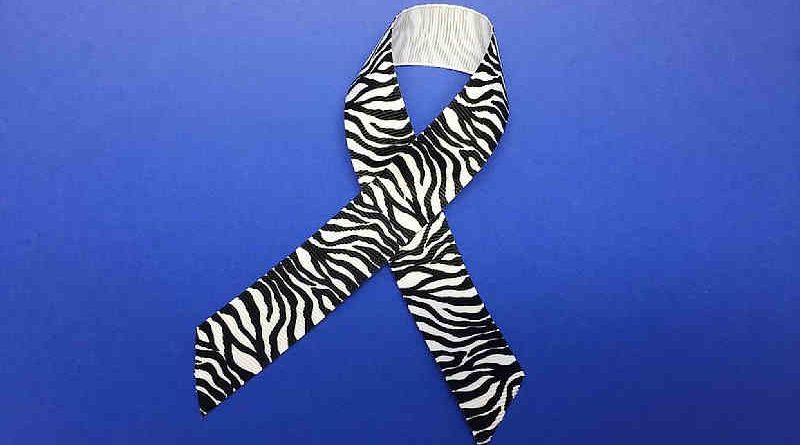 Zebra-print ribbon is a symbol for awareness of primary immunodeficiencies and other rare diseases. Photo: NIAID