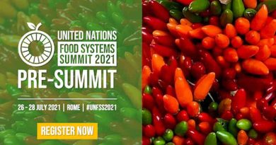 Pre-Summit of the UN Food Systems Summit. Photo: UN