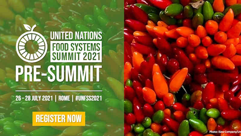 Pre-Summit of the UN Food Systems Summit. Photo: UN