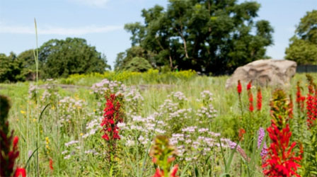 New York Botanical Garden