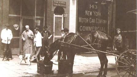 Bideawee Horse and Carriage, Circa 1906