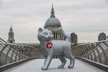 Monopoly Cat