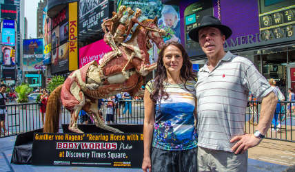 Body Worlds at Discovery Times Square