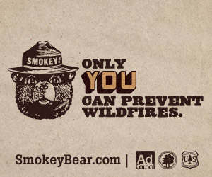 Smokey Bear