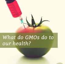 Genetically Modified Organisms (GMOs)