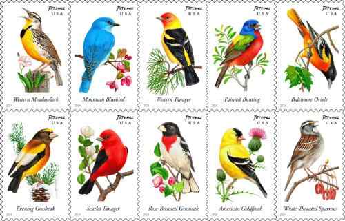 Songbird Stamps