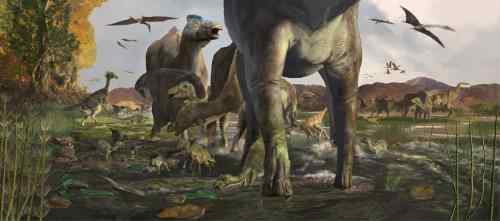 Study Says Dinosaur Herds Thrived in Ancient Ecosystem