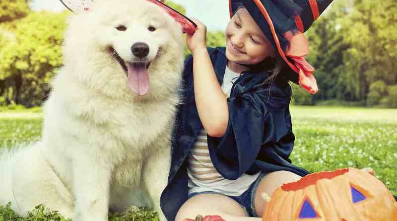 How to Protect Your Children, Property, and Pets on Halloween