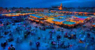 Energy Day at COP 22: Sustainable Energy for All (file photo)