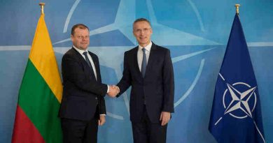 Lithuanian Prime Minister Saulius Skvernelis with NATO Secretary General Jens Stoltenberg