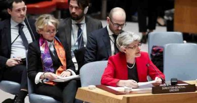 UNESCO Director-General Irina Bokova addressed the public briefing of the United Nations Security Council