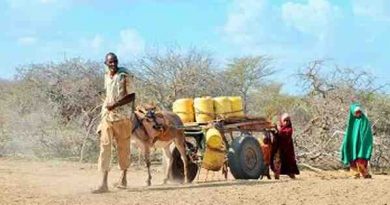 More Than 1 Million Children Affected by Drought in Kenya