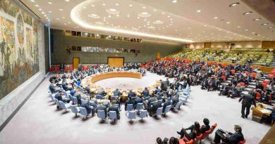 Meeting of the Security Council to discuss the alleged use of chemical weapons in the Khan Shaykhun area of southern Idlib, Syria. UN Photo / Rick Bajornas (file photo)